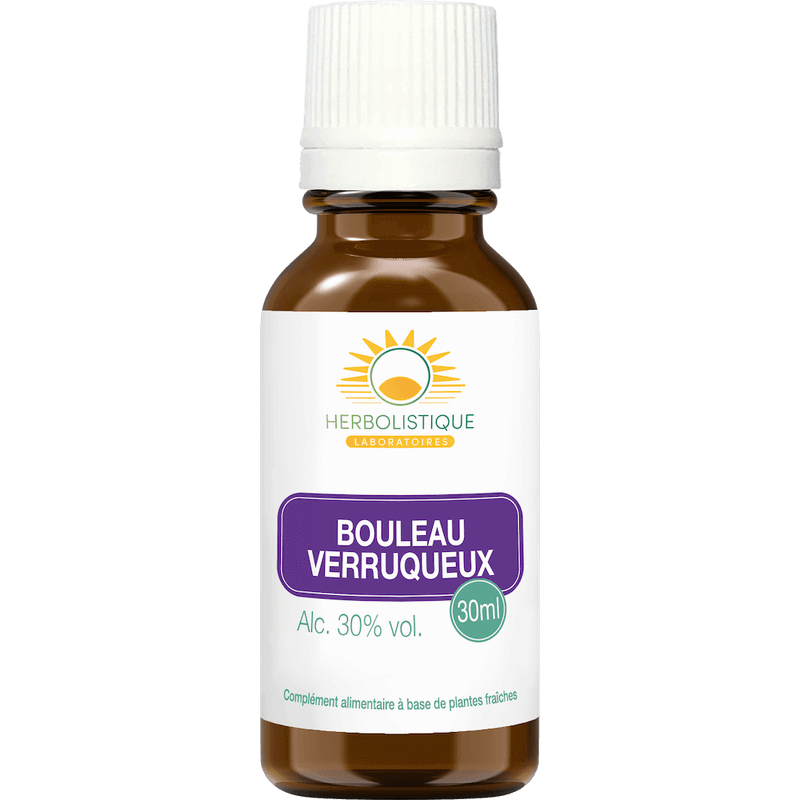 bouleau-verruqueux-bourgeons-douleurs-articulaires-laboratoires-herbolistique