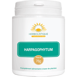 harpagophytum-confort-articulaire-laboratoires-herbolistique