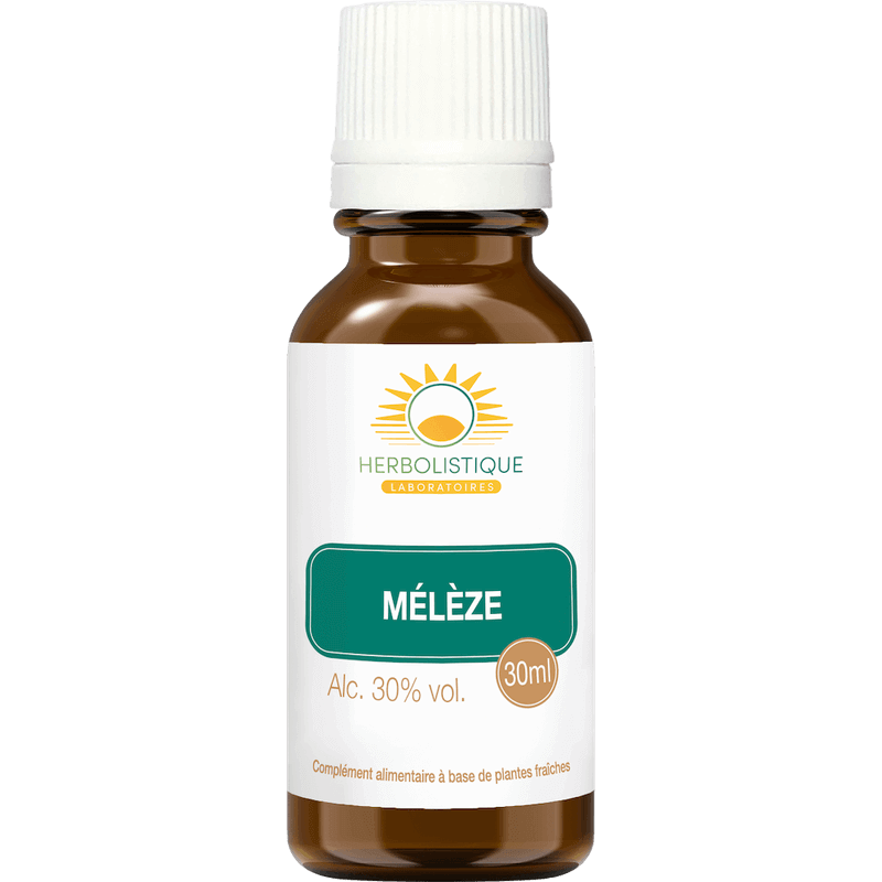 meleze-respiratoire-anti-infections-laboratoires-herbolistique