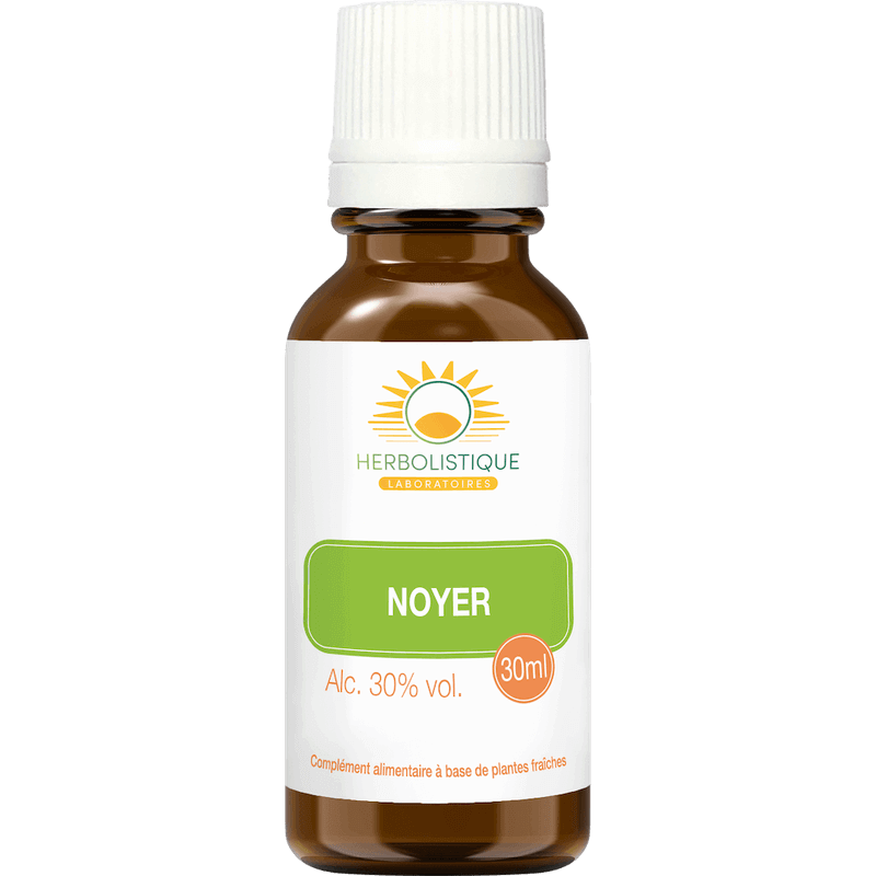 noyer-bourgeons-transit-intestin-laboratoires-herbolistique