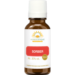 sorbier-sang-action-fluidifiante-migraines-bourdonnements-laboratoires-herbolistique