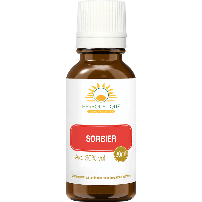 sorbier-sang-action-fluidifiante-migraines-bourdonnements-laboratoires-herbolistique