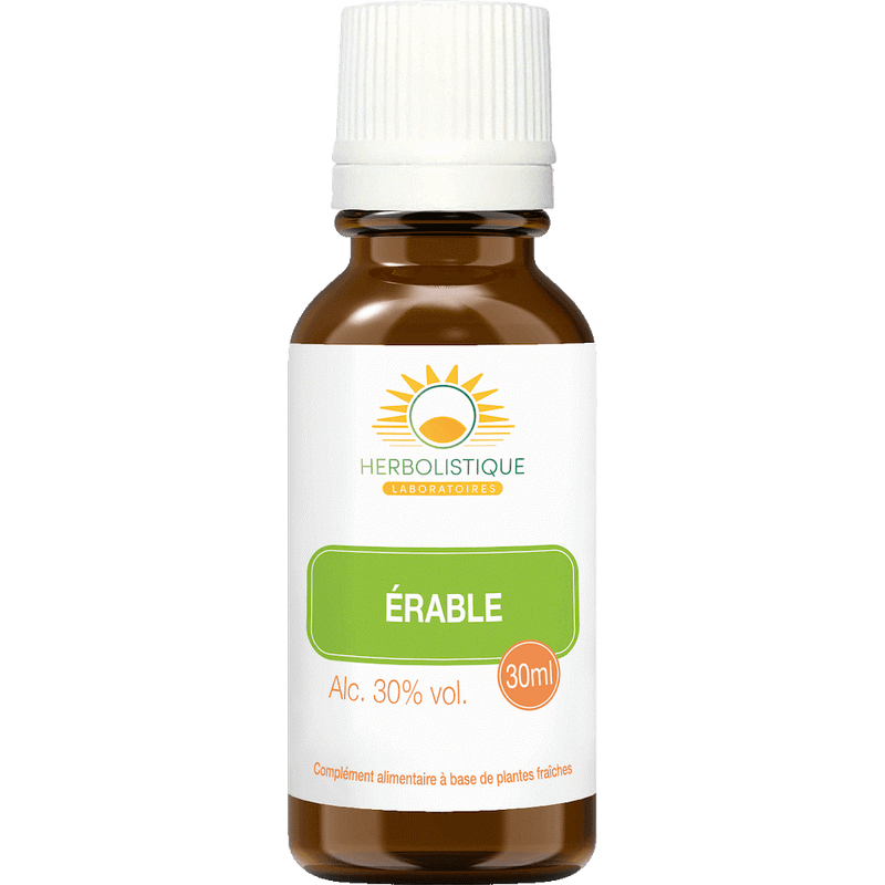 erable-regulations-metabolismes-proteines-laboratoires-herbolistique