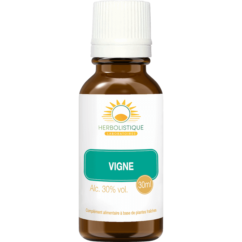 vigne-bourgeons-anti-age-vieillissement-laboratoires-herbolistique