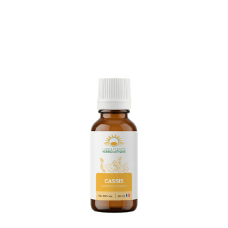 Cassis bourgeons