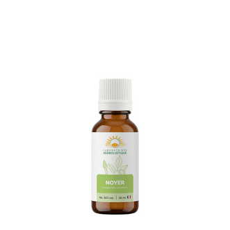 Noyer bourgeons