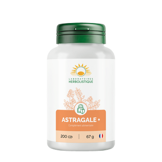 Astragale +