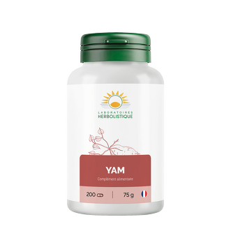 Yam