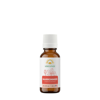 Marronnier bourgeons