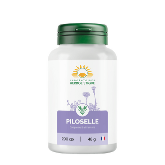 Piloselle