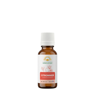 Citronnier jeunes pousses