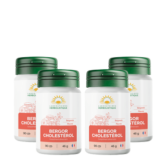 Cure - Bergor Cholestérol