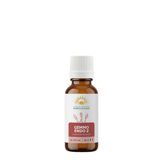 Gemmo/endo2