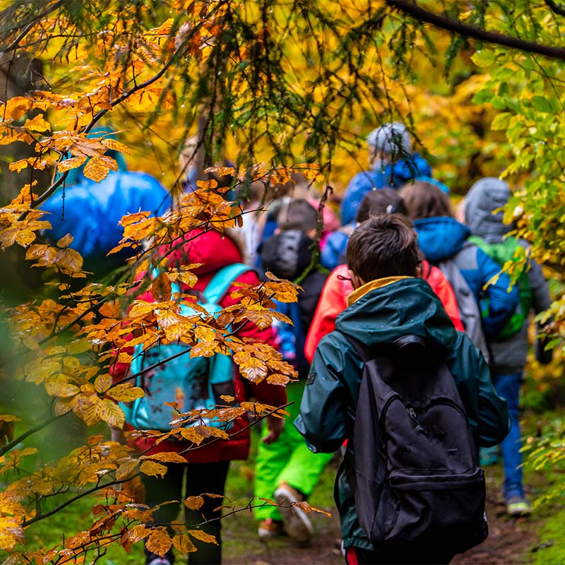 Enfants se baladant dans une forêt en automne