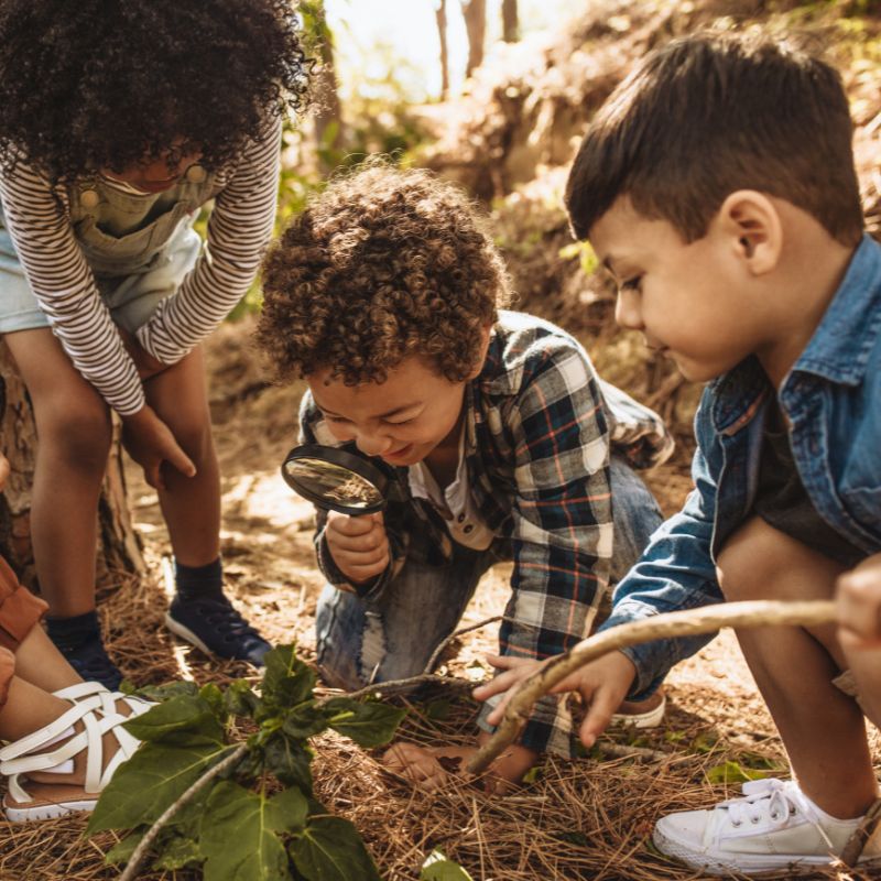 enfants jouant dans la nature - Blog Herbolistique