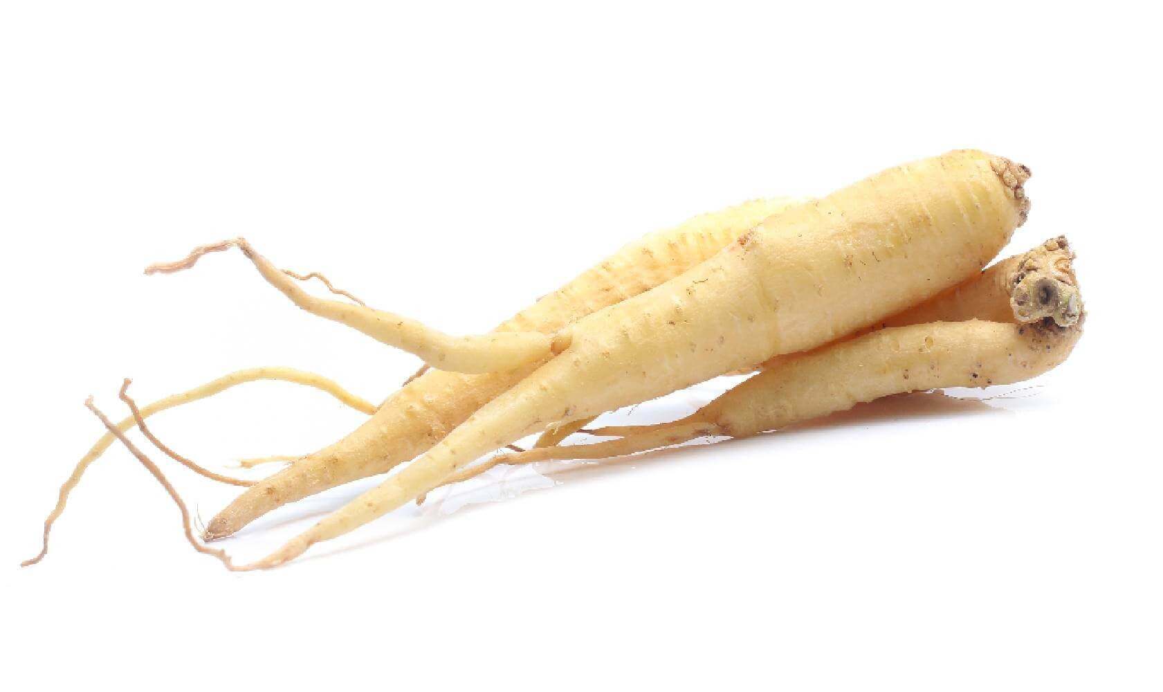 Ginseng - Laboratoire Herbolistique