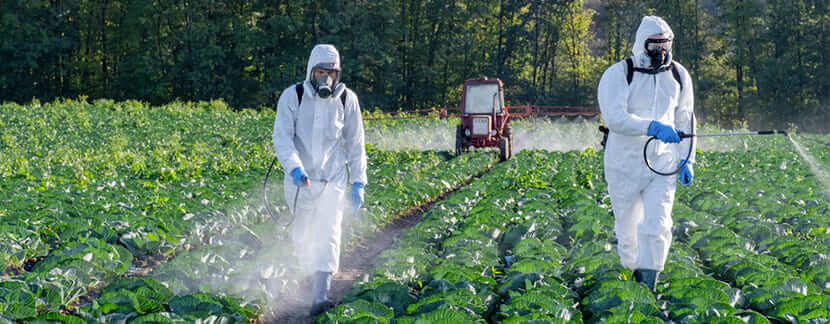 Impact des pesticides sur la biodiversité : quels sont les risques pour les animaux, les plantes et les humains ?