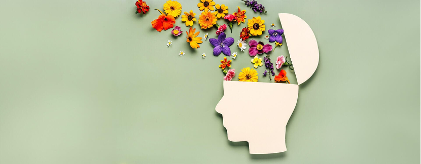 Quelles plantes contre le stress et l’anxiété faut-il privilégier ?