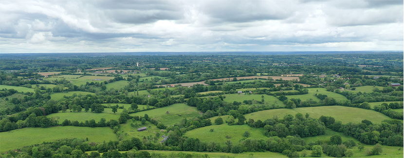 Pourquoi les haies bocagères sont indispensables dans nos paysages agricoles ?