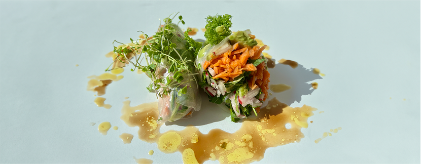 Rouleaux de printemps, avec Nutribiote Base